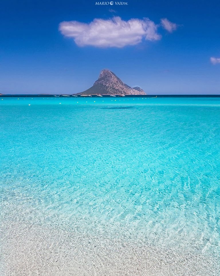 🌀Per l'Isola Sardegna® tweet media