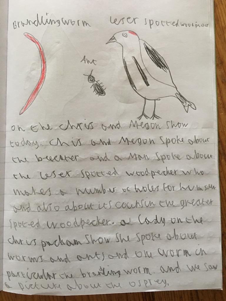 CoeJen's tweet photo. @ChrisGPackham My 58 year old uncle has a learning disability and moved out of his sheltered housing to live with my mum during lockdown. He loves nature and has watched your show every day, after each episode he writes and draws what he has learnt. Thank you for brightening up his lockdown! https://t.co/a7u1oVIUMR