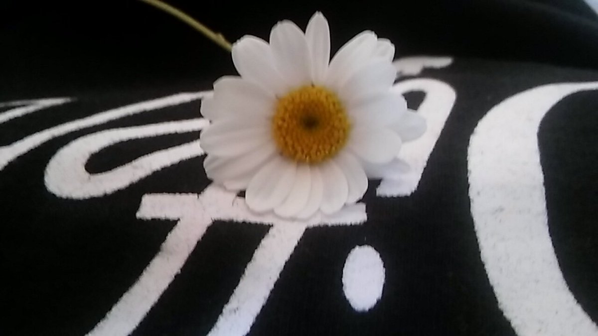 İste en sevdiğim🌼🌼🌼😊