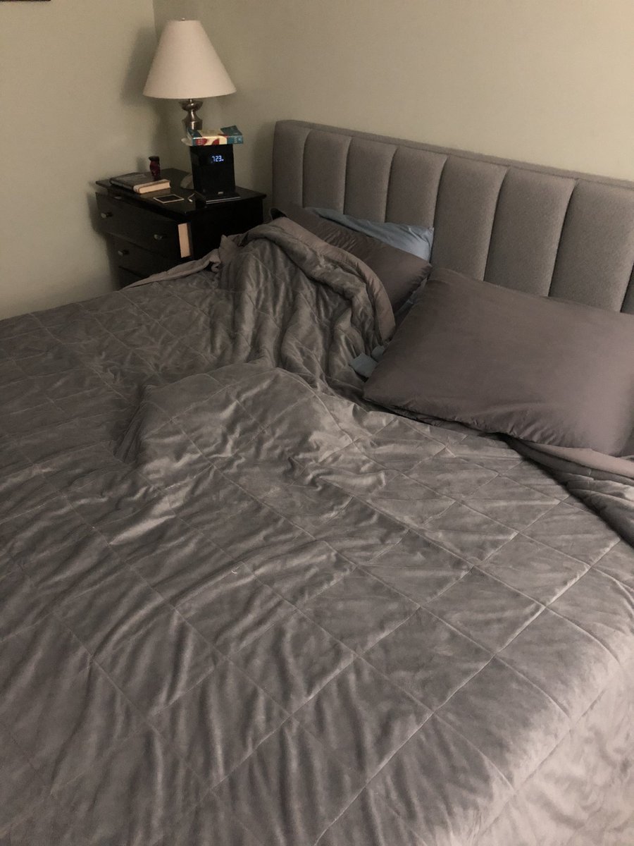 JakeMedlen's tweet image. Typical morning photo of our lovable and loyal dog, TJ... SMH. #spoileddog #DogsofTwittter