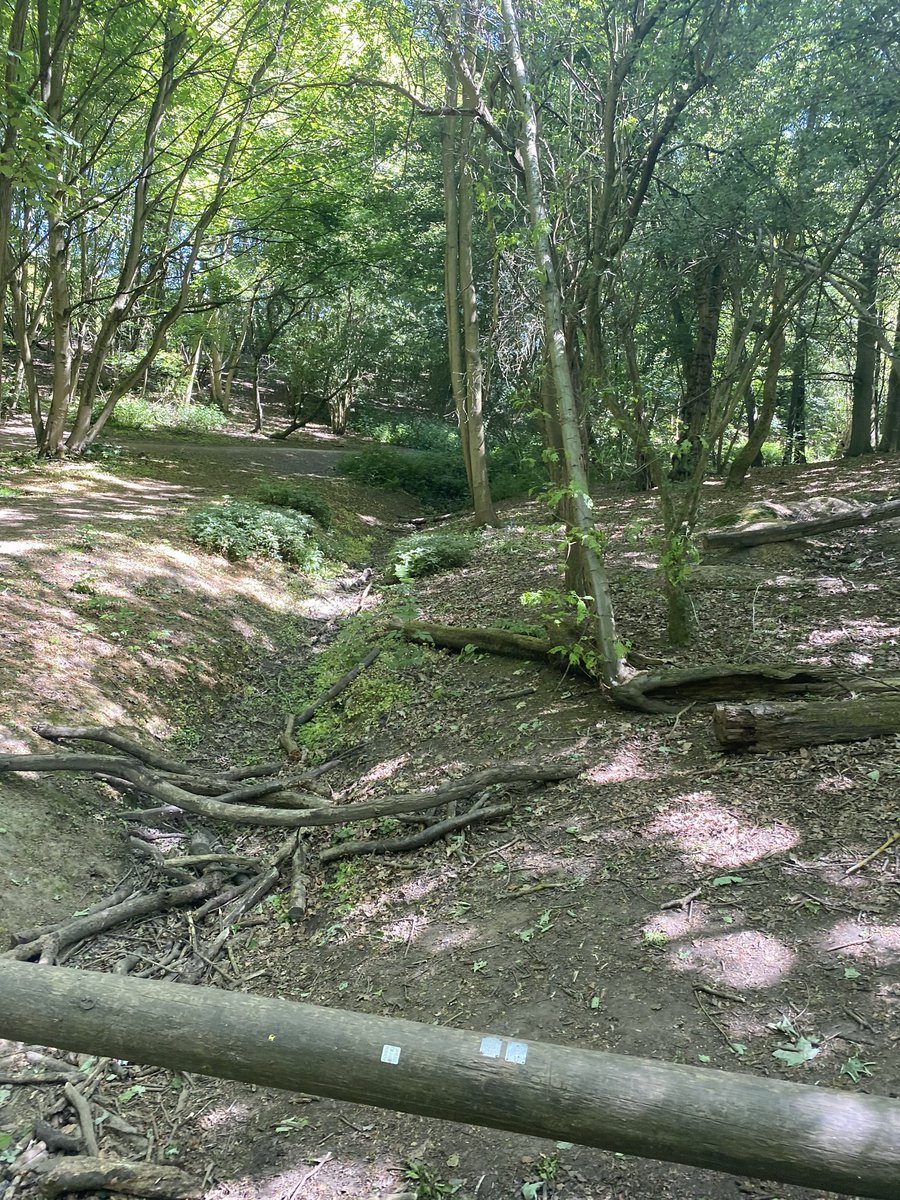 Dr Carly Wood tweet media