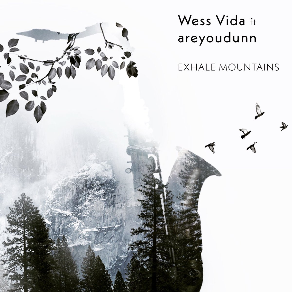 Release day!

Happy to share my newest release today with 94RECORDS, Exhale Mountains is a track that triggers the senses and mind, downtempo with influences of soul and jazz, out today on all platforms!
Follow the link
lnk.to/wessvida