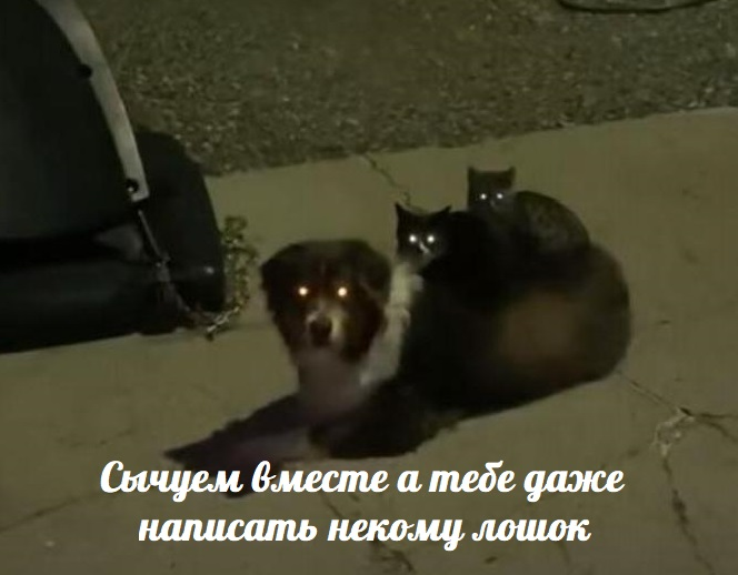 𝘑𝘦𝘴𝘩𝘪 tweet media