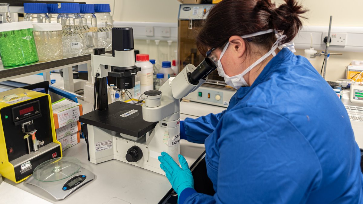 iosBioPharma's tweet photo. As the UK sees changes to lockdown , Stabilitech is preparing to begin trials for and manufacture our unique double immunity OraPro-COVID-19 #vaccine. But we cannot do this without further funding. If you can help us, please contact: stabilitech@first-sentinel.com https://t.co/K8PIdFwf69