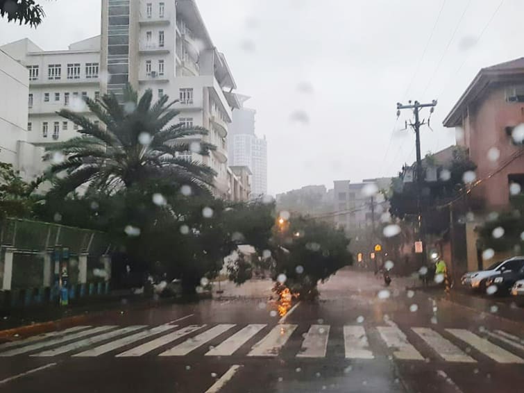 bsapasig's tweet photo. #AmboPH UPDATE: A collapsed tree along Escriva Drive has been cleared by BSA Rescue Team. 🚨 Lighting in the area has been compromised due to the collapse. Stay safe, @bsapasig. ✅

#BSAEmergencyResponse #StaySafeBSA https://t.co/N3EhpgI2lz