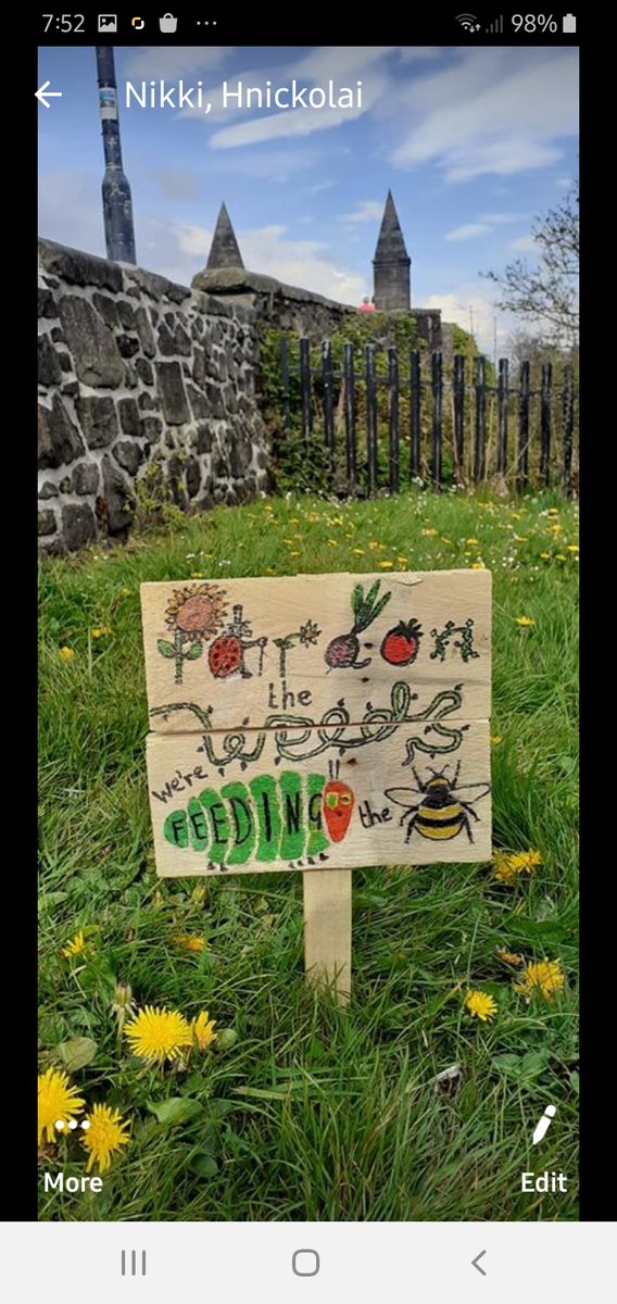 CorntonS's tweet photo. Rare wildflowers and bees are thriving in these unprecedented times. Can you make a sign to highlight the beauty of these new spaces in our community. Wooden signs and acrylic paint will be available from CPS on Tuesday and Friday mornings.🌈💚🐝🐛🌷🦋 #OurCornton https://t.co/U74iesdvOm