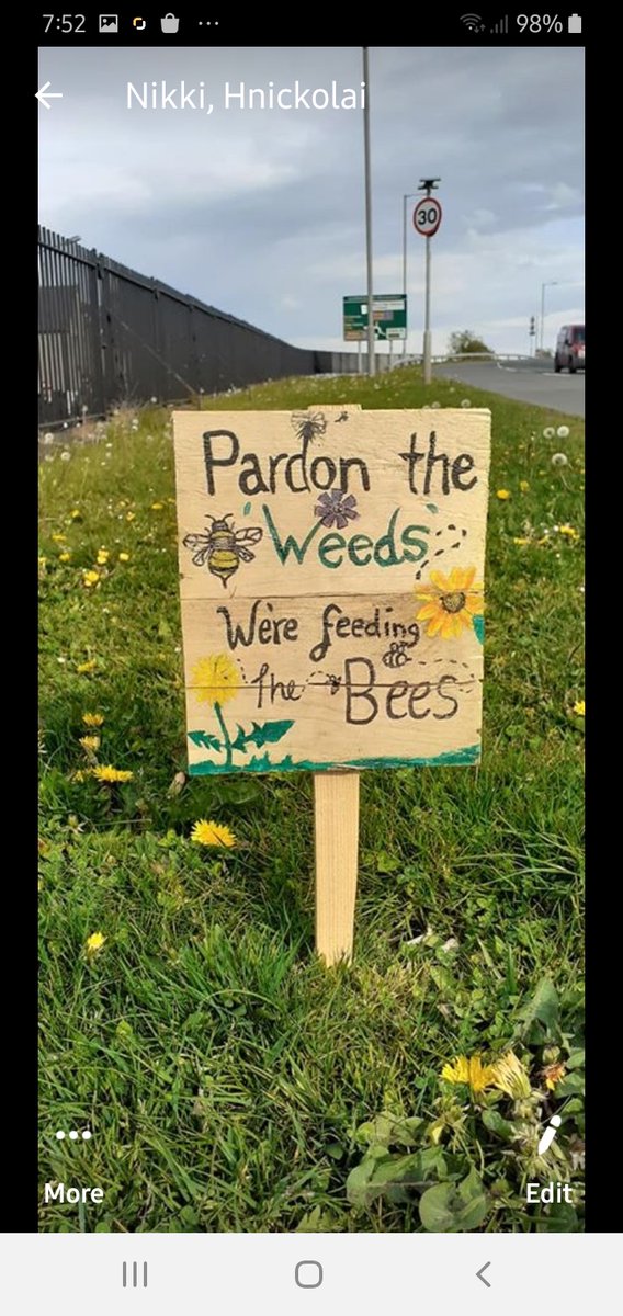 CorntonS's tweet photo. Rare wildflowers and bees are thriving in these unprecedented times. Can you make a sign to highlight the beauty of these new spaces in our community. Wooden signs and acrylic paint will be available from CPS on Tuesday and Friday mornings.🌈💚🐝🐛🌷🦋 #OurCornton https://t.co/U74iesdvOm