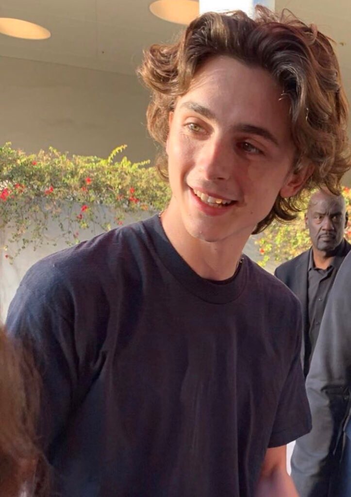 daily reminder that timothée chalamet exists
