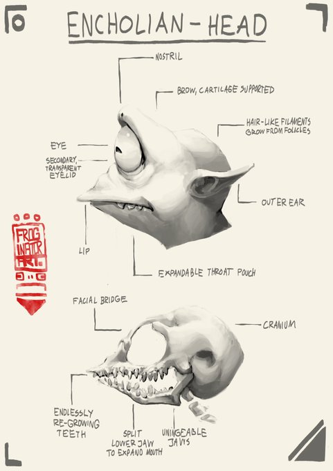 encholian head #TheLooter 