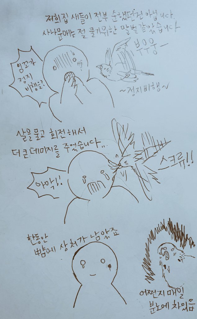 하지만 보통 새는 부리가 있으므로 뭅니다... 사나운애는 투조의 피를 타고난것 같았죠.. 