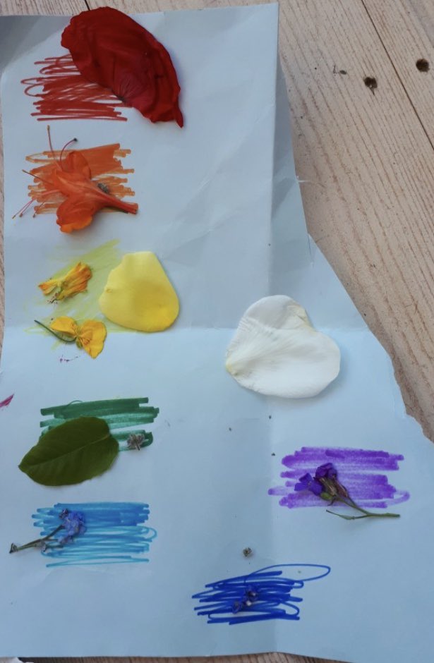RSMArtDept's tweet photo. And today let’s go peek at the artwork created at home by some of our very littlest, but most mighty, artists in GreenShoots @RSMLowerSchool #lockdownlearning https://t.co/ZBF7ucIP36