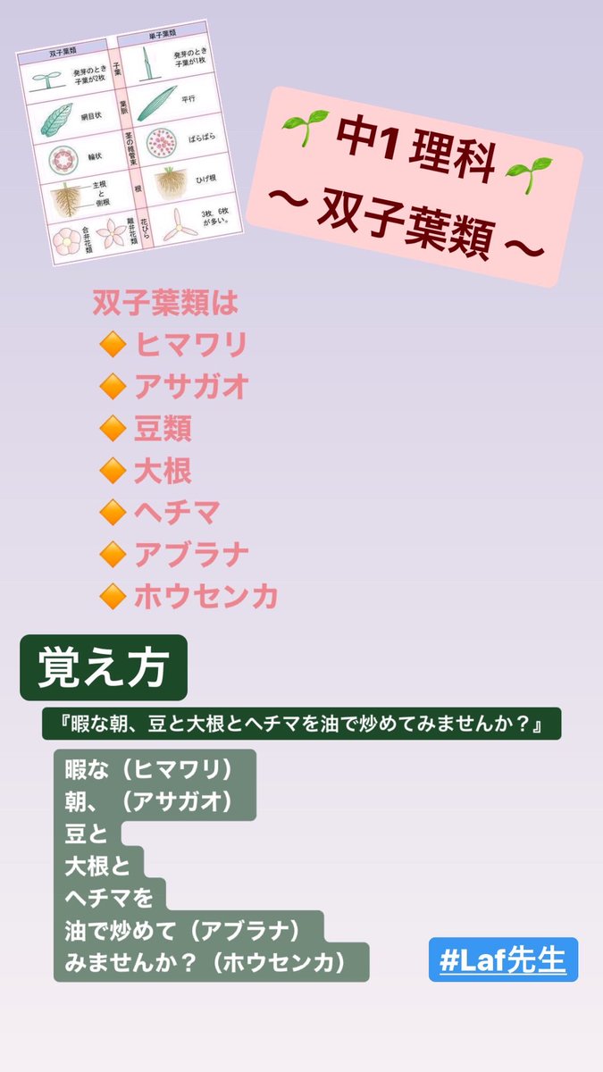 押川 隼也 高校 大学受験対策 中1 理科 単子葉類と双子葉類まとめ 一覧と覚え方 押川 隼也 高校 大学受験対策 中1 理科 単子葉類と双子葉類まとめ 一覧と覚え方