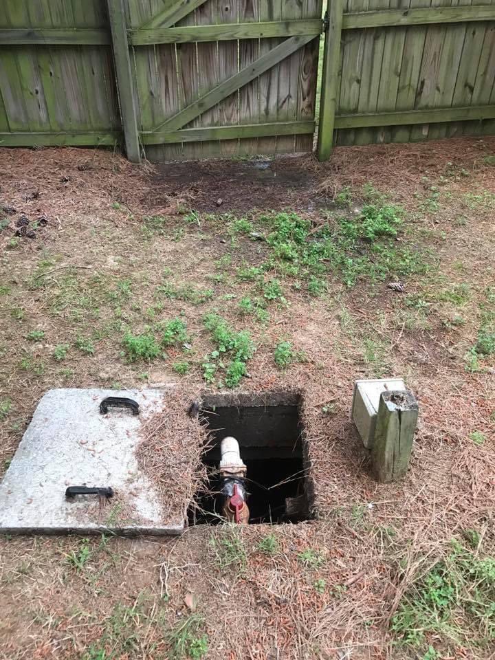 This pipe almost gave me a heart attack. For a second I thought Rafiki from the Lion King was living under my backyard.