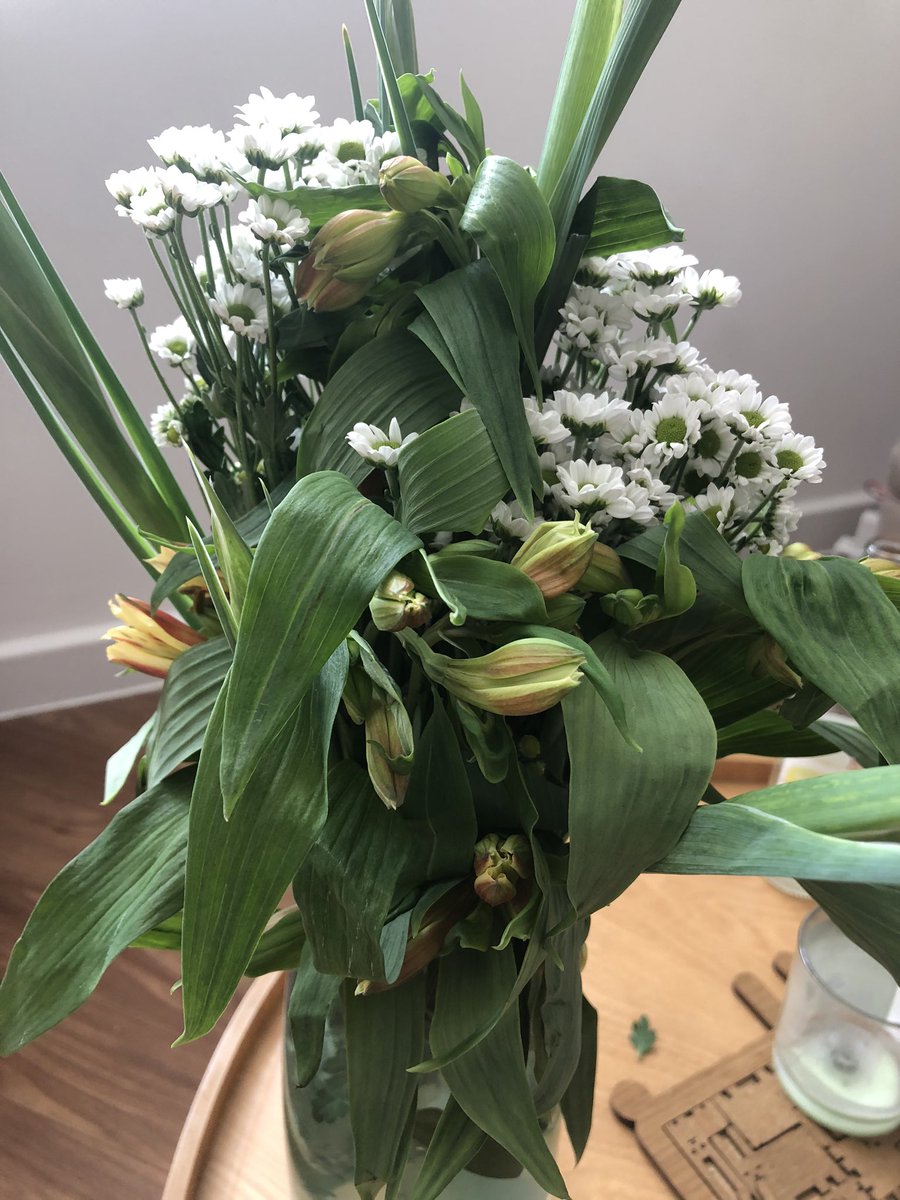whatwaytoday's tweet photo. @marksandspencer okay I’m not the best at arranging flowers but I received these for my birthday today and they look half dead... https://t.co/rUWNJuSwNn