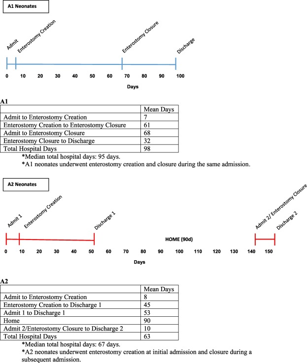jpedsurg's tweet photo. Timing of enterostomy closure for neonatal isolated intestinal perforation https://t.co/yzFcy1FA1q #jpedsurg #PediatricSurgery #SoMe4PedSurg #PrognosisStudy #Isolatedintestinalperforation https://t.co/Gzwe8KV3On