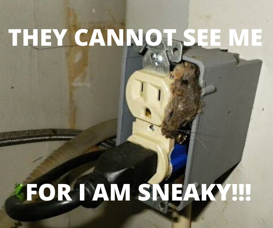 SouthernHomeIns's tweet photo. Schedule your inspection today!
📧 jody@southernhomeinspectionservices.com
☎️ (678) 279-5796 https://t.co/AeCiNvWT3L
