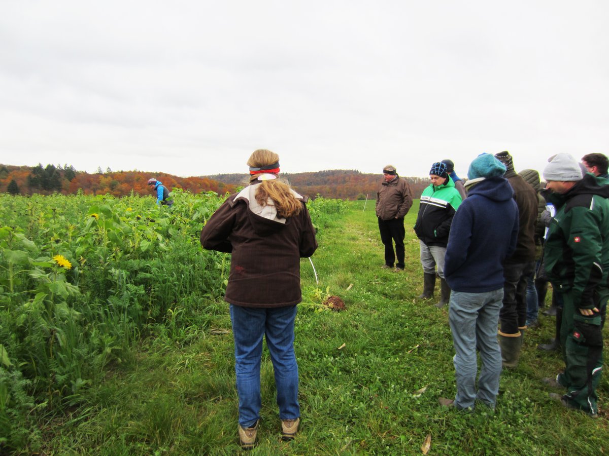 At our study site in Germany, soil erosion looks to have reduced winter #wheat yields by 25%, however minimum and #notill systems are being trialled to see if #soil health can be increased for better crops, #environment and #biodiversity  🐞🦠🌾
soilcare-project.eu/en/study-sites…