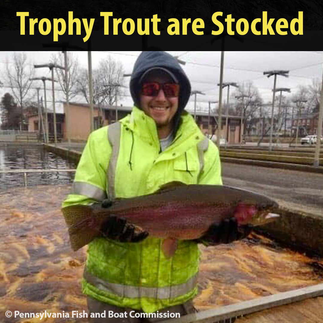 pafishandboat's tweet photo. The secret’s out! Keystone Select Trout Waters  are the place to go to catch-and-release some Trophy Trout! https://t.co/djlpXjW7XW https://t.co/mzwSVresLj