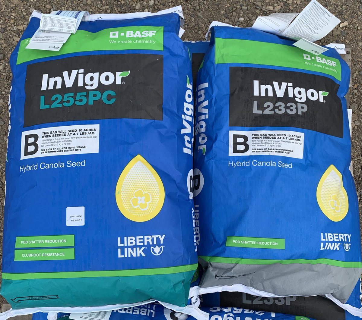 CropProCory's tweet photo. So we #VR seeded @BASFAgSolutions #invigor #podshatter but we have the later maturing variety on red/orange/yellow and the earlier variety on green and higher seed rates there as well to get #consistentmaturity. Also did constant rate strips and varieties. 4 reps. https://t.co/osZA9OpjpM