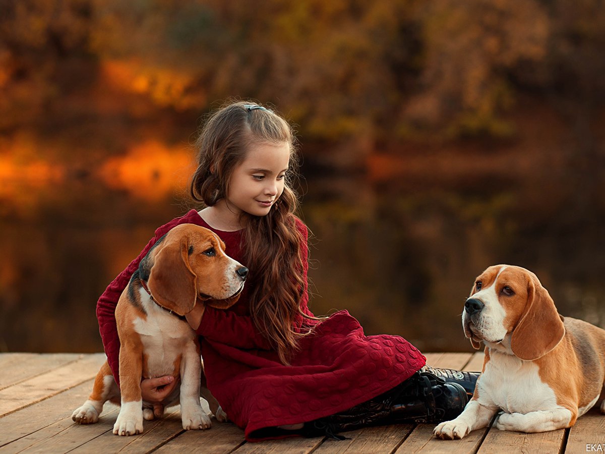 Девочка с собакой. Сериал про собаку и девочку. Собака для детей. Про щенка и девочку. Фильм про девочку и собаку.