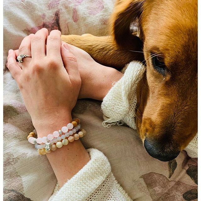 Dog lover🐶
Jewelry lover💍
I love your crystal bracelet😀 @crystal.habit.jewelry

#floraljewelry #weddingjewelry #weddingaccesories #fineartwedding #fineartbride #futureheirlooms #junebirthstone #junebirthday #birthdaygift #spring #pearljewelry #mother… instagr.am/p/CANS4J7ArI5/
