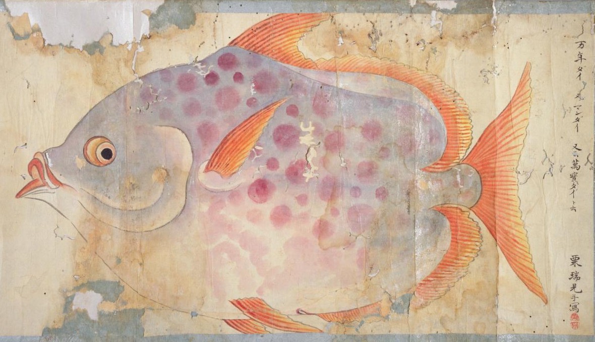 Claudia Mangiamele Auf Twitter Tales From The Inner City Moonfish Shaun Tan B 1974 Australian Illustrator Claudia Mangiamele Auf Twitter Tales From The Inner City Moonfish Shaun Tan B 1974 Australian Illustrator