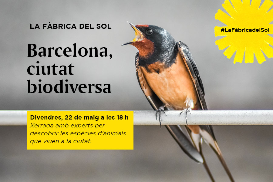 La Fàbrica del Sol tweet media