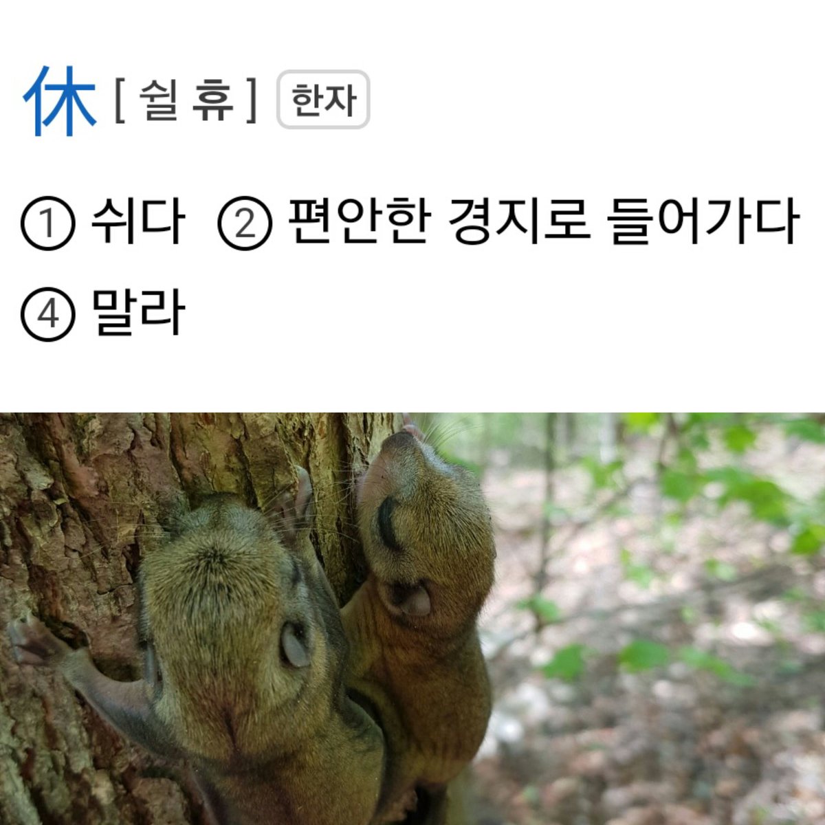 fish033's tweet image. LOF PREBIOTICS