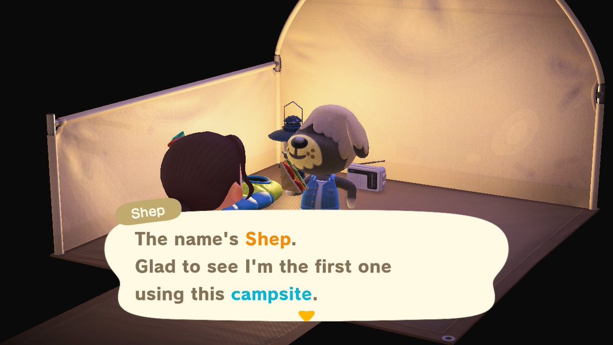 + 14.05.20 +my new room was built today, at a very small cost of 348,000 bells (ʘᗩʘ’) tom nook also told me that we have our first visitor at the new campsite, so i went to say hello. the camper, shep, said he would like to live in panacea ! ⤍