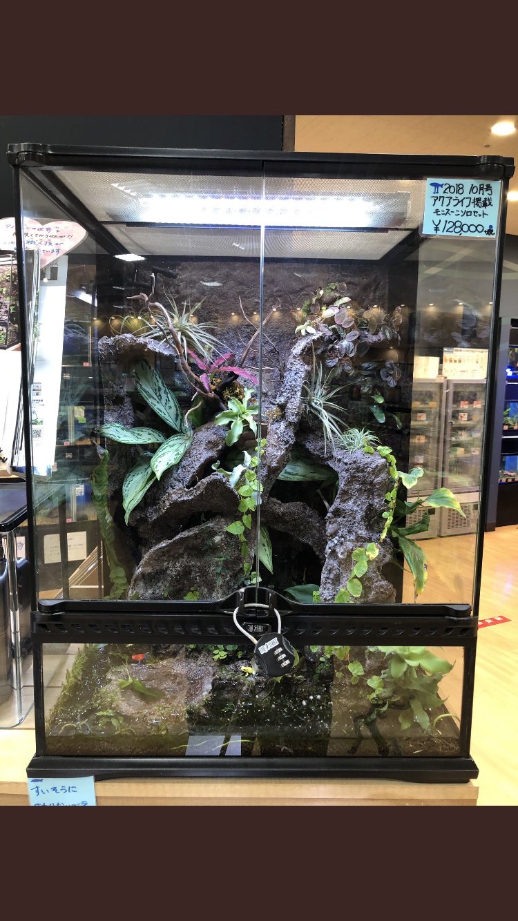 グラステラリウム 6045 グラステラリウム6045 エキゾテラ GEX ガラス飼育ケージ 販売 通販