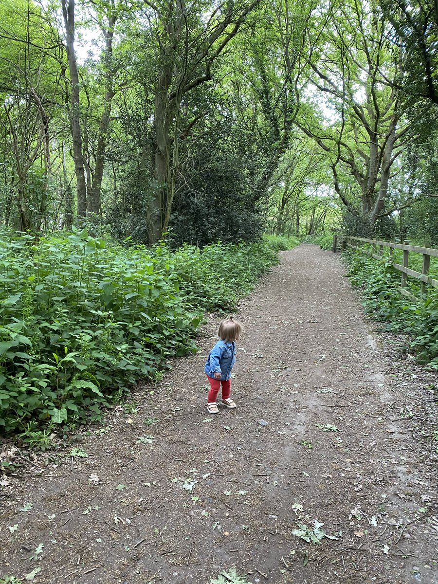 rs_sambailey's tweet image. #workingfromhone lunch breaks are the best