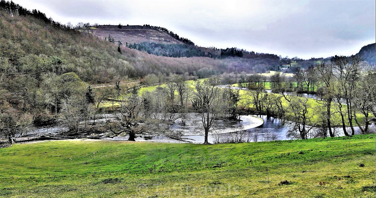 Antony Humphreys tweet media