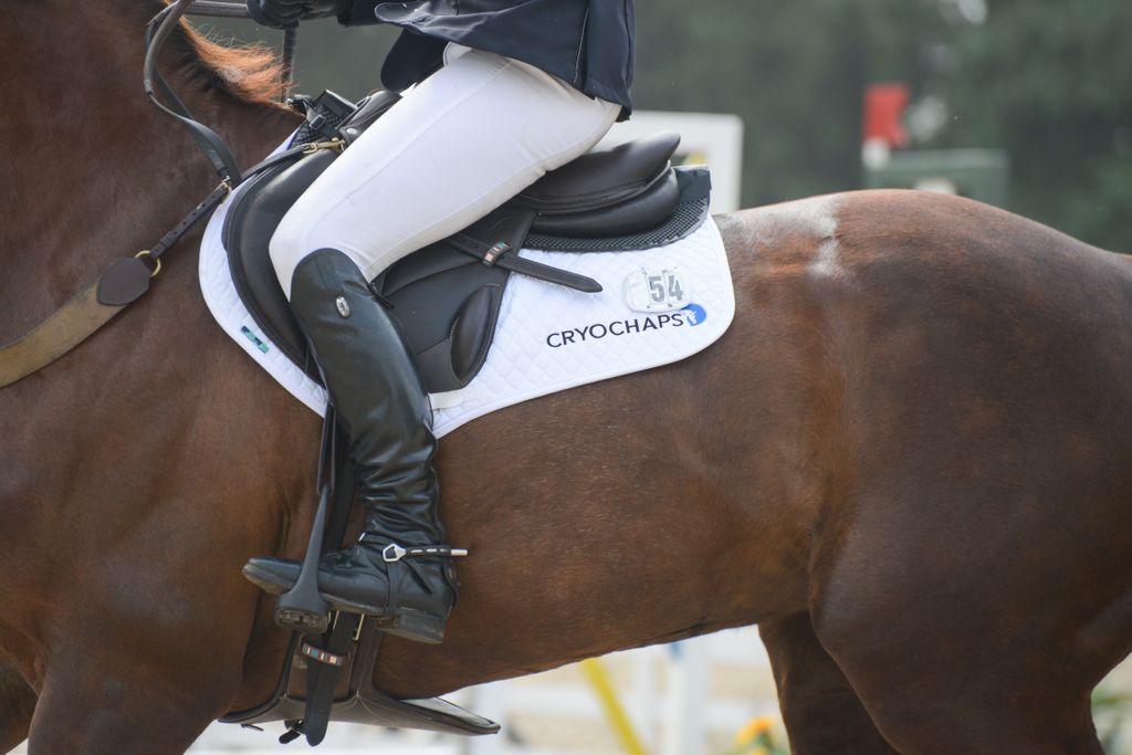 CRYOCHAPS tweet media