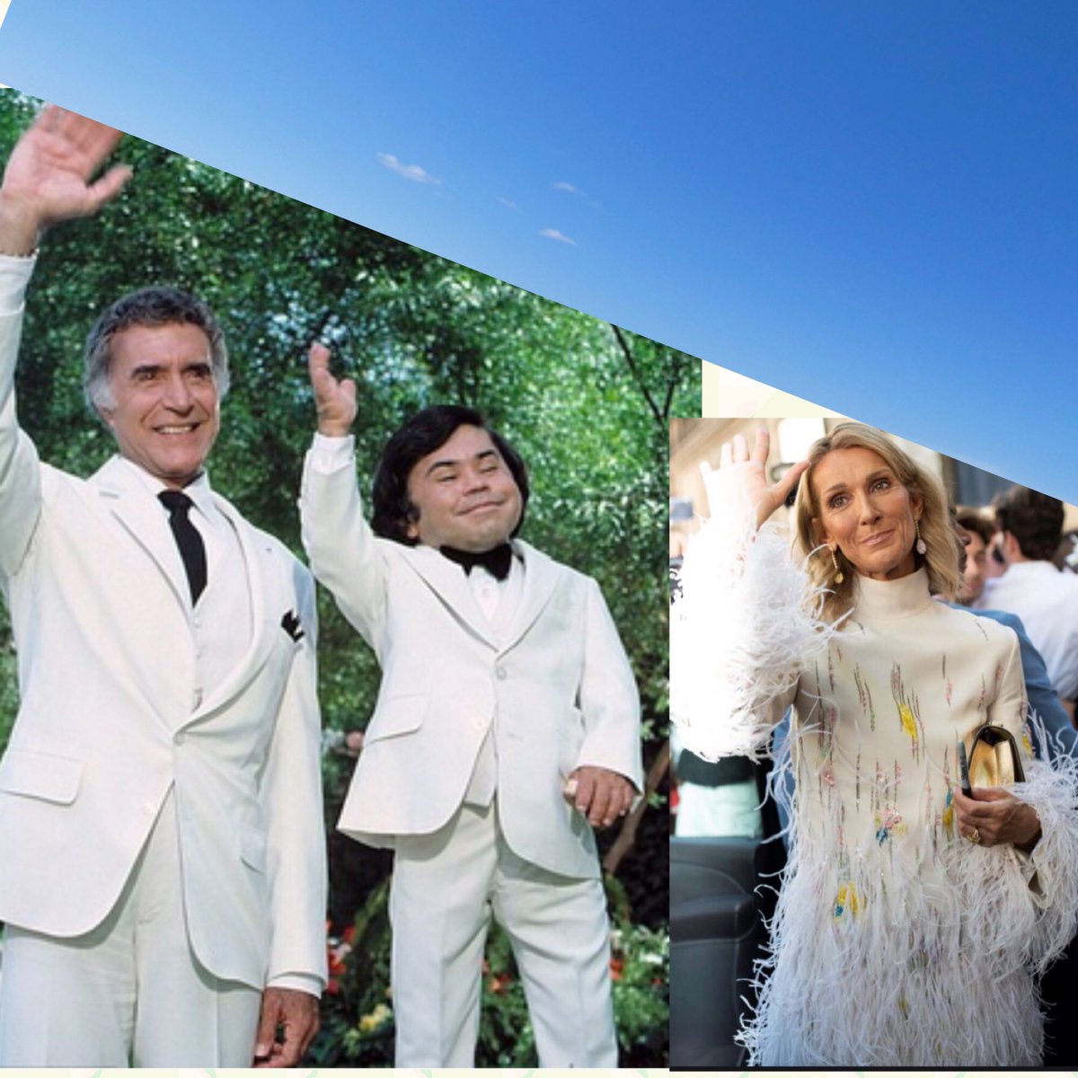 davidjbrodie's tweet photo. For all the doubters! #4ft6ins #CelineDion #TallDwarf #visualevidence https://t.co/0W1t3YMItO