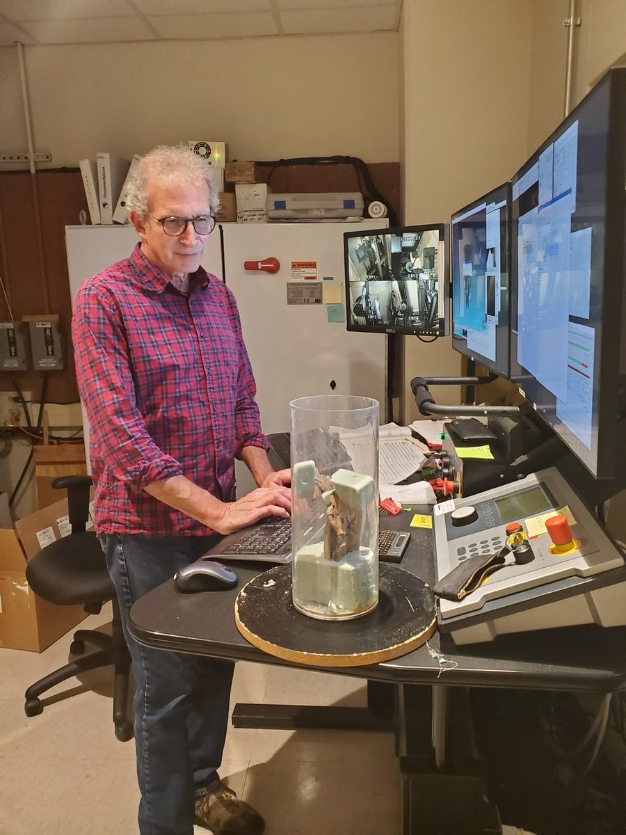 UTexasCT's tweet image. Happy #FossilFriday and we hope everyone is staying safe! Before the shut down Mark Goodwin came to visit and brought this juvenile #triceratops from the Hell Creek Formation. He will be using UTCT data to investigate patterns of #vascularization and bone growth in the skull.