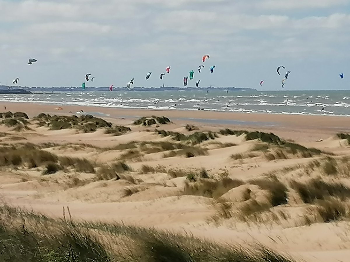 Paz Olivier tweet media