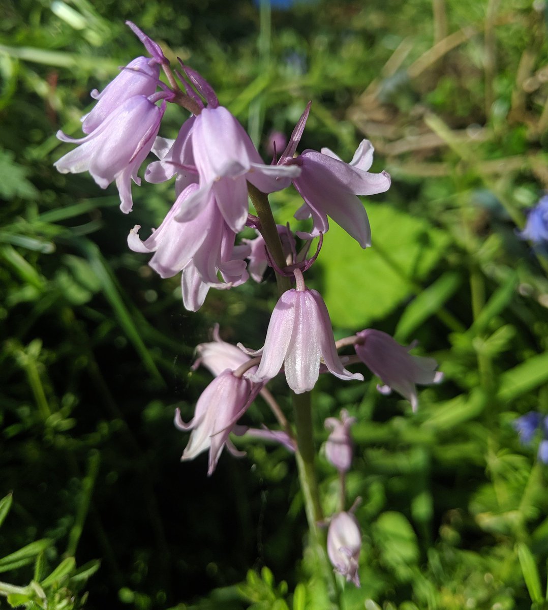 Adam Smalley tweet media