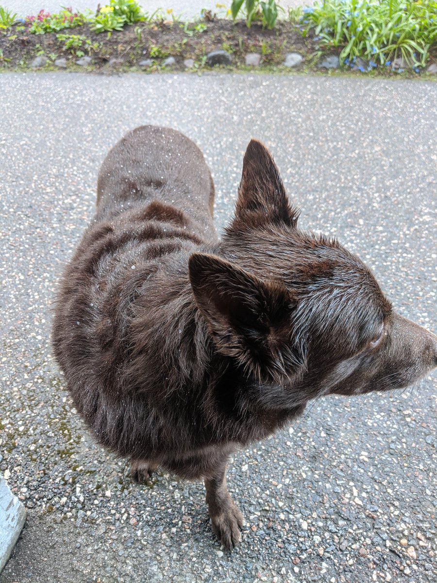 Toukokuu... ja raekuuroja