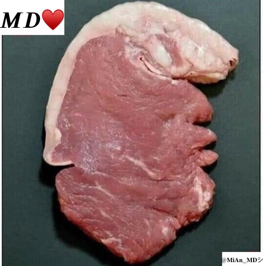 MiAn_MD08's tweet photo. Guess kary kOn hai ya👇🏼😂😂 https://t.co/vKkXA1lvNj