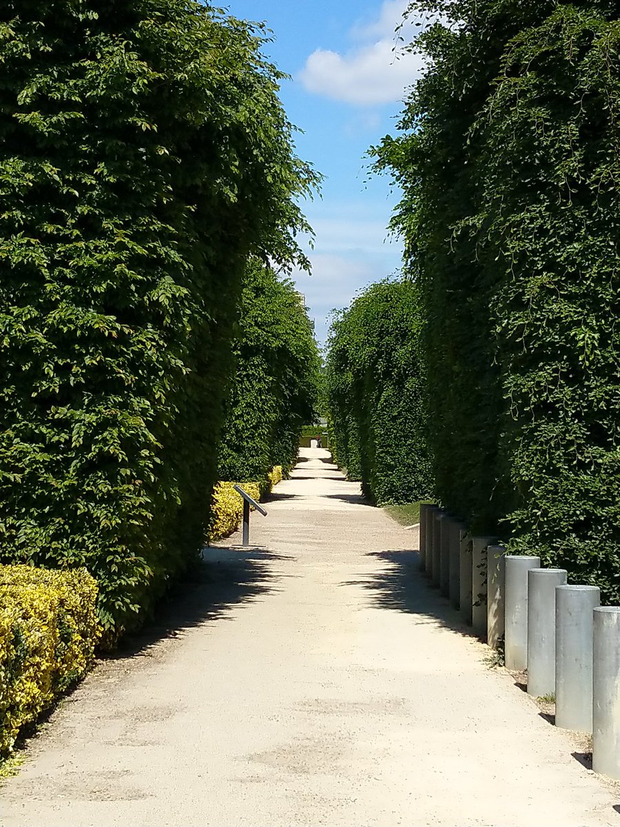ChrisDontoro's tweet photo. And another nice run today. #keepfit #lockdown #keepfitinlockdown #running #nicelocation #park #green https://t.co/Pi879qcNdj