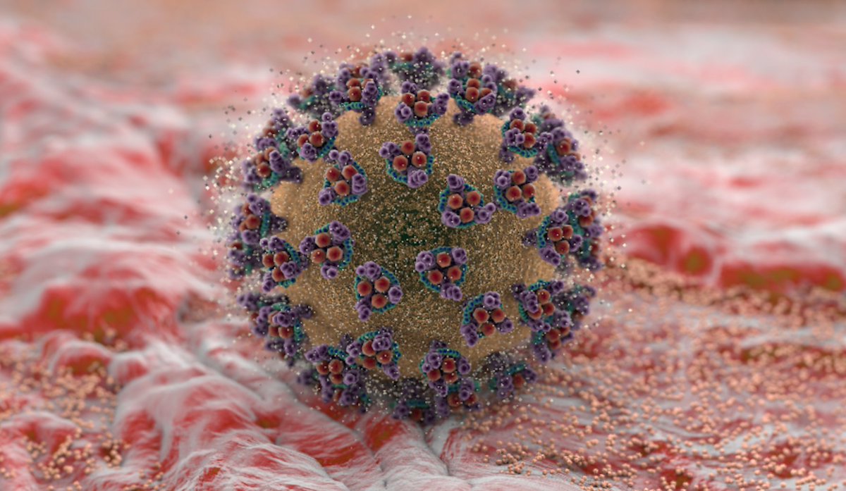 IMBA_Vienna's tweet photo. Pleased to be part of the common European response to fight #COVID19: @PenningerLab @IMBA_Vienna is part of the MAD-CoV 2 project &amp; funded with EUR 1.1 Mio for developing antivirals against #SARSCoV2: https://t.co/WNJOQWFLFo
@IMI_JU @EU_Commission 
#unitedagainstcorona https://t.co/wUJ6seqft6