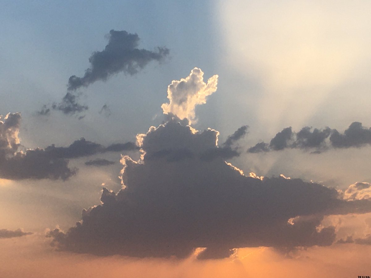 ap_82's tweet photo. Can you spot the nature’s creativity???
#sunset #lockdown comment if your eyes 👀 can catch @nidhishrimm https://t.co/6vMxct6EgV