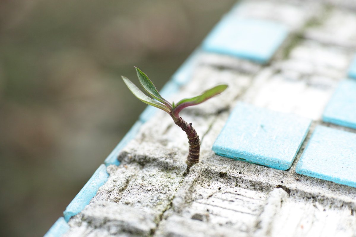 Some good tips here for small businesses showing how to survive in these tough times from a  successful serial UK entrepreneur. 

What are your top tips for surviving and thriving? Please share them we'd love to hear them

#boostyourbusiness #covid19

bit.ly/3dz9lsL