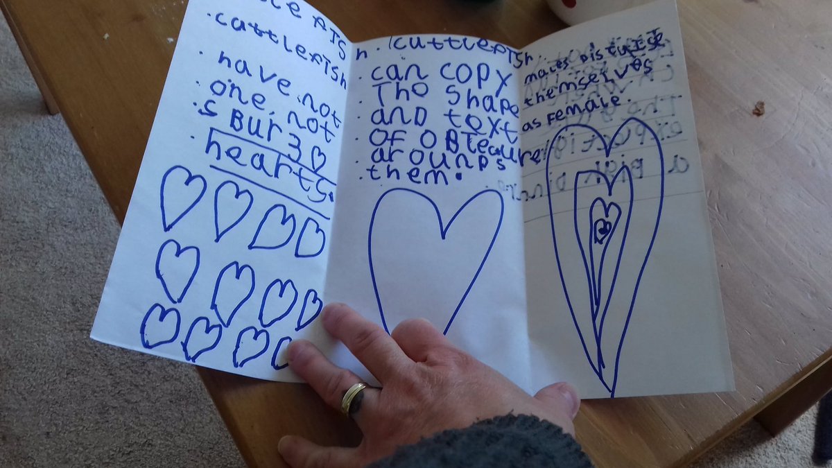 Forresters20's tweet photo. We’ve really enjoyed the underwater project. We watched blue planet episode with cuttlefish as we found one on the beach along with some flowers. We also did a fun fact sheet on cuttlefish! And we baked some shortbread 🙂 @MrSGoodman6 @ParkMalmesbury https://t.co/4jLBoNnK0S