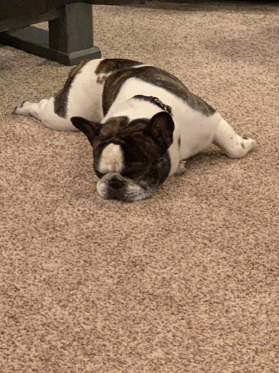 Signing NLI was a huge success!  I am so proud of @cmann131 and excited to see him play at ATU!  Thank you to everyone for supporting him <a href="/Coach_Mann13/">Coach Codey Mann</a> <a href="/Alma_AthTrainer/">Alma_AthleticTrainer</a> <a href="/SFlenor/">Stan Flenor</a> <a href="/ATU_Athletics/">Arkansas Tech Sports</a> <a href="/mdowneyATU/">Mark Downey</a> <a href="/DarinStahler/">Darin Stahler</a>