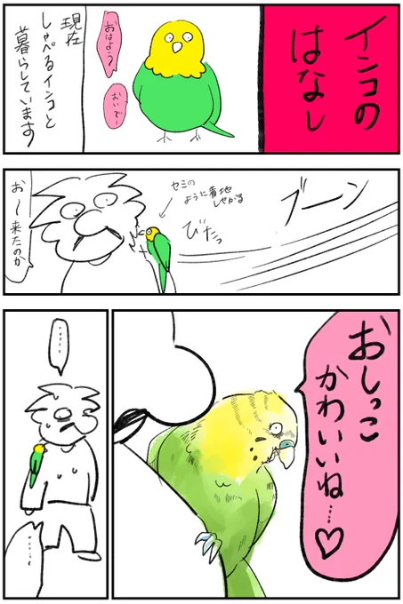 家のインコの話描いた 