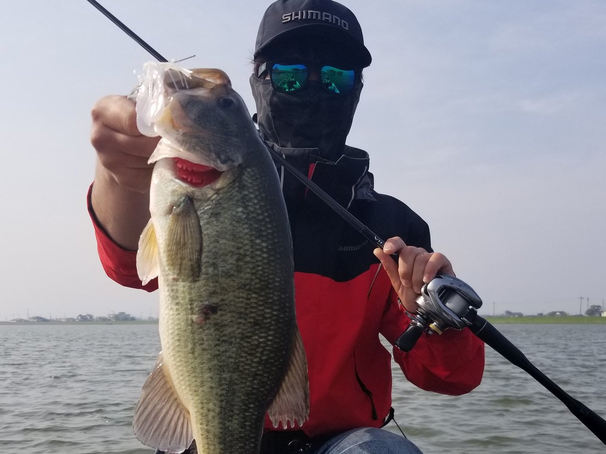 ビークロールスイマー ビークロールスイマー