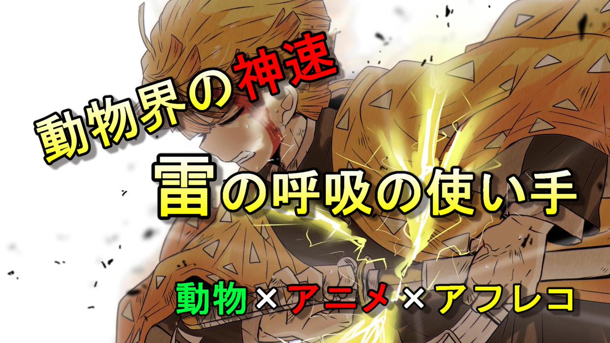 ものがみ屋 d 雷の呼吸が使える動物 動物 アニメ アフレコ 動物化に現れた呼吸の使い手 その正体とは 動物とアニメを組み合わせたアテレコ動画です 見てもらえると嬉しいです T Co O3jwgio9xb アニメ 動物 鬼滅 Anime