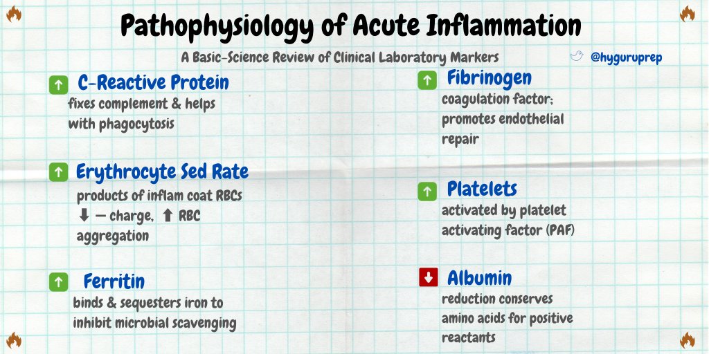 With an increased focus on post-#COVID19 multi-system inflammatory syndrome ('MIS-C') in #pediatrics, here's a basic science review on acute inflammatory markers seen in the clinical setting! 🔥🥵 

➡️ #PedsICU #USMLE #FOAMed #PIMSTS #MedEd @CDCgov