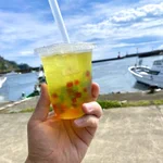 「トコロポンチ」ネーミングも可愛い!伊豆で流行っているもの!